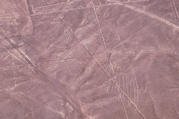 lignes de nazca 15.jpg